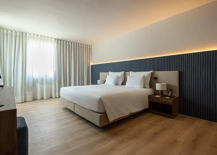 The Lince Брага