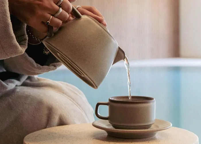 The Lince Брага