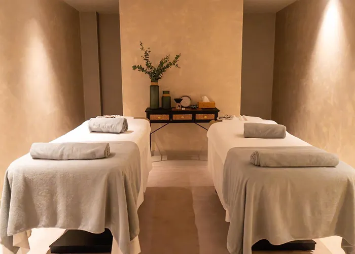 The Lince Брага